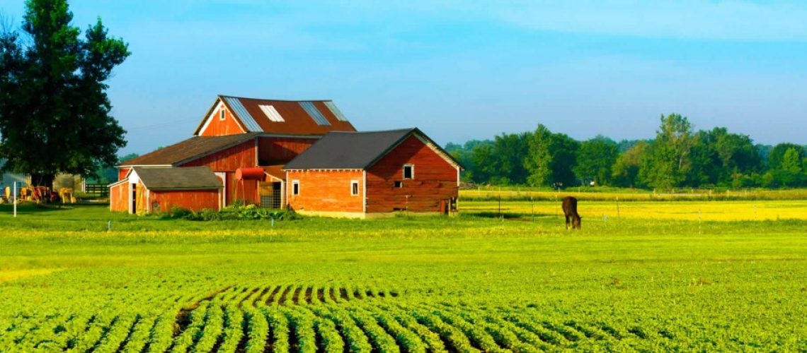 imovel rural